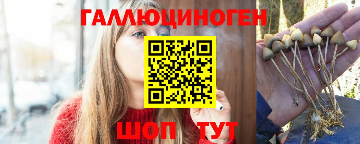 Волжский  Псилоцибиновые грибы Magic Shrooms  Галлюциногенные грибы ЛСД  Вход с VPN 